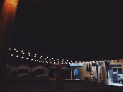 -桤木河湿地公园