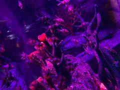 -沈阳海洋探索中心