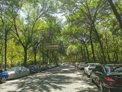 -比格比萨自助(国展店)