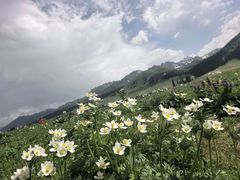 -新疆那拉提国家旅游度假区