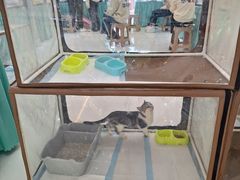 -万达广场(北京槐房店)