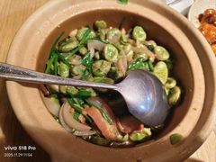 -佬肥猫(国华广场店)