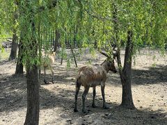 -张家港凤凰山景区河阳山歌馆
