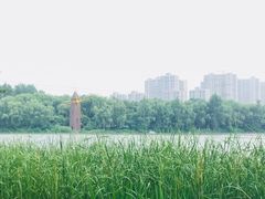 -昆山城市生态森林公园