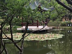 -月湖风景区