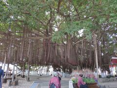 -胡里山炮台