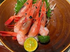 -小乔回转寿司(沈阳大悦城店)