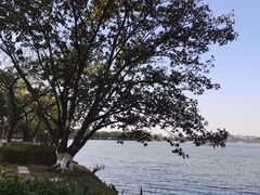 -松山湖风景区松湖烟雨
