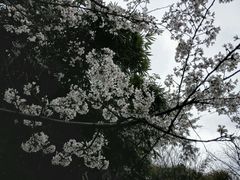 -贵阳市花溪国家城市湿地公园