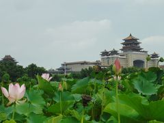 -莲花池公园