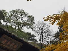 -大觉寺-停车场