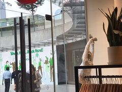 -lululemon(上海浦东IFC店)