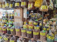 -大湾区中央湿地公园-十九涌
