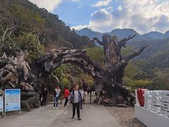 -龙湾潭国家森林公园