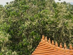 -广州莲花山旅游区