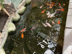 -上海大自然野生昆虫馆(东方明珠·爬宠昆虫探索中心)
