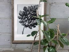 -Wood Garden(合生汇店)