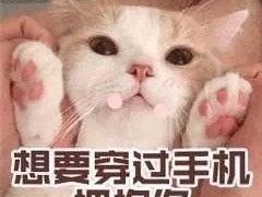 -渝蛙馆(新百店)
