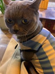 -青木造型HAIR·あおき髪を刈る潮人店