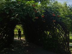 -莲花池公园