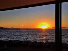 -香港东海海鲜酒家