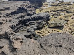 -涠洲岛火山国家地质公园