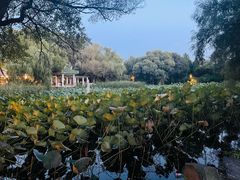 -北陵公园