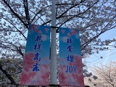 -高东镇樱花园