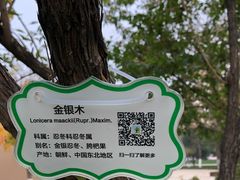 -五环公园