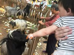 -常州淹城野生动物世界