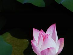 -南普陀寺
