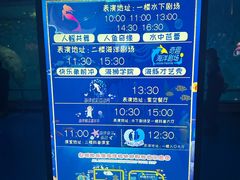-泉城欧乐堡海洋极地世界
