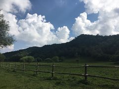 -大水川景区