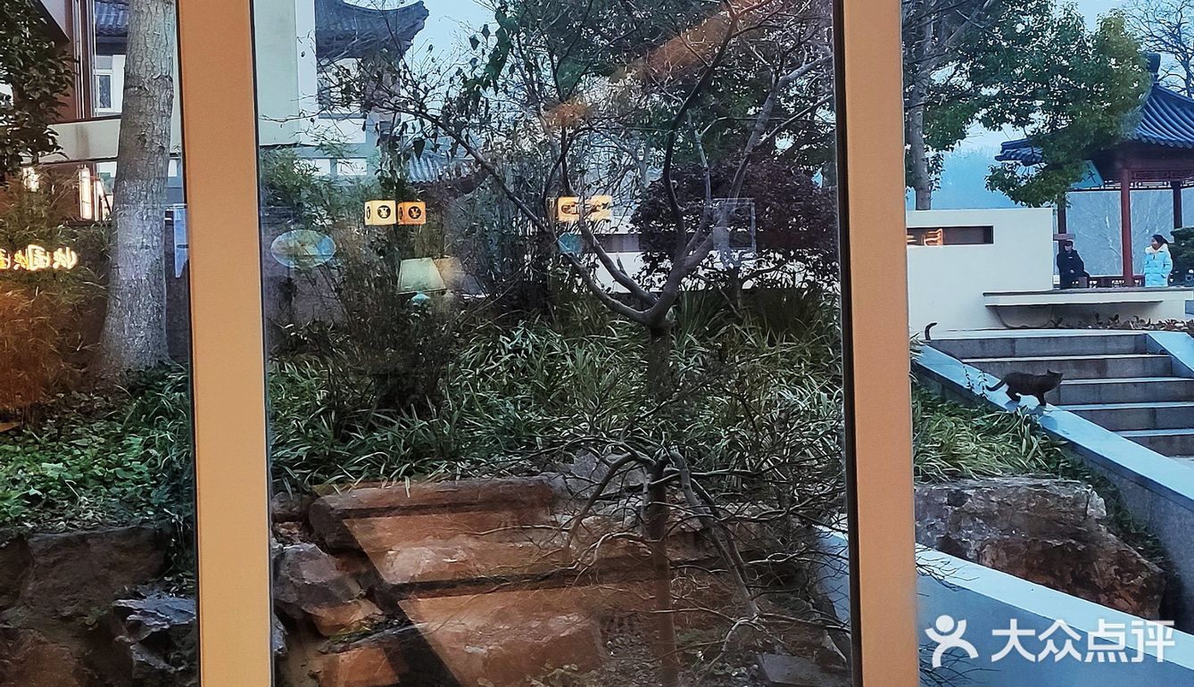 快园偶遇一坨猫