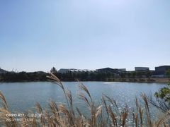 -羊山湖公园