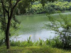 -水濂山森林公园