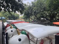 -晓港公园