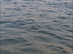 -丁香湖公园