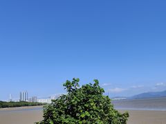 -深圳湾公园(南山区)