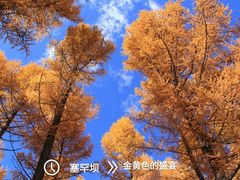 -塞罕坝国家级自然保护区