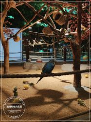 -酷嗒动物文化乐园(cutezoo西溪乐天城店)