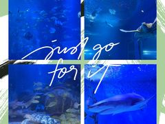 -太平洋海底世界