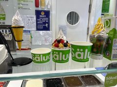 -Salud撒露欧洲冻酸奶(蓝色港湾店)