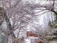 -鸡鸣寺