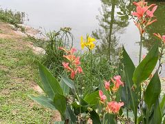 -人民公园(罗湖区)