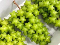 -双福水果批发市场