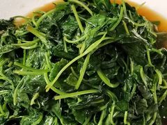 -沪碟·精菜坊(闵行店)