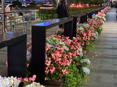 -Wagas沃歌斯(合生汇店)