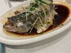 清蒸鲈鱼-福来居烤鸭店(天坛二店)