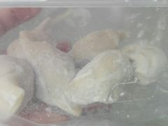 -熊大爷现包饺子(和平里店)